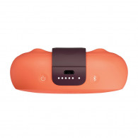 Bose Sound Link Micro Water Proof Wireless Bluetooth